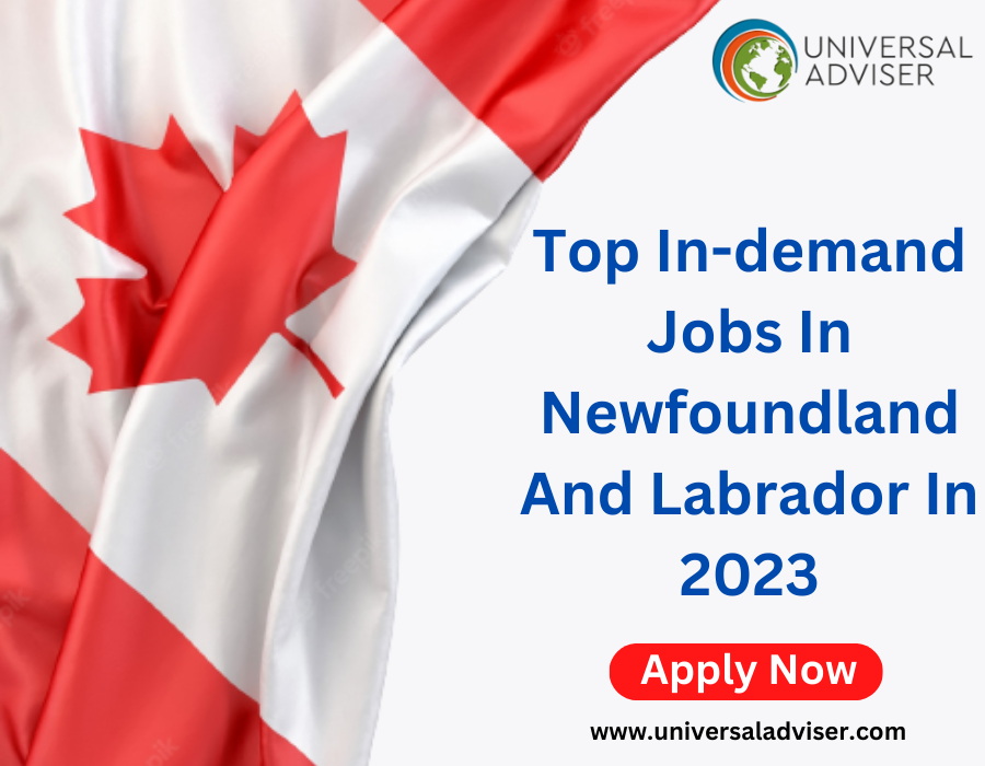 Top in-Demand Jobs in Newfoundland And Labrador
