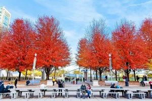 Canada’s Immigration Backlog Rises for the First Time in Seven Months