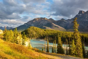 BC PNP 2024 Report Unveiled Immigration Trends, Salaries, and Policy Overhaul