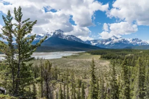 Yukon PNP immigration opportunities 2025