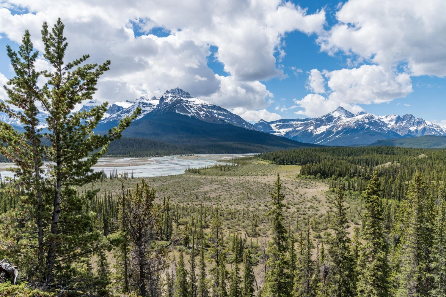 Yukon PNP immigration opportunities 2025