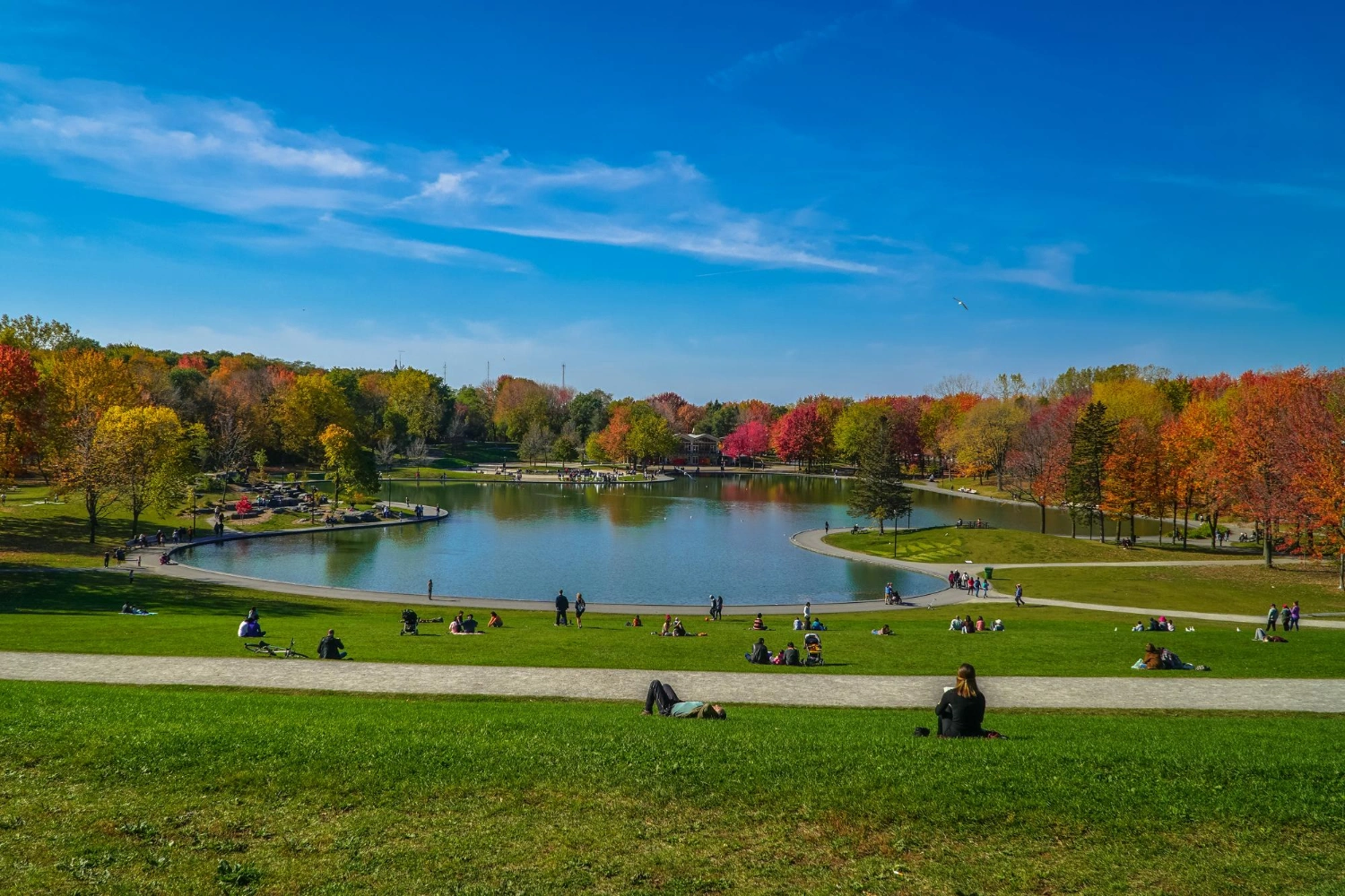 Canada’s Population Growth Hits Record Low Amid Immigration Laws