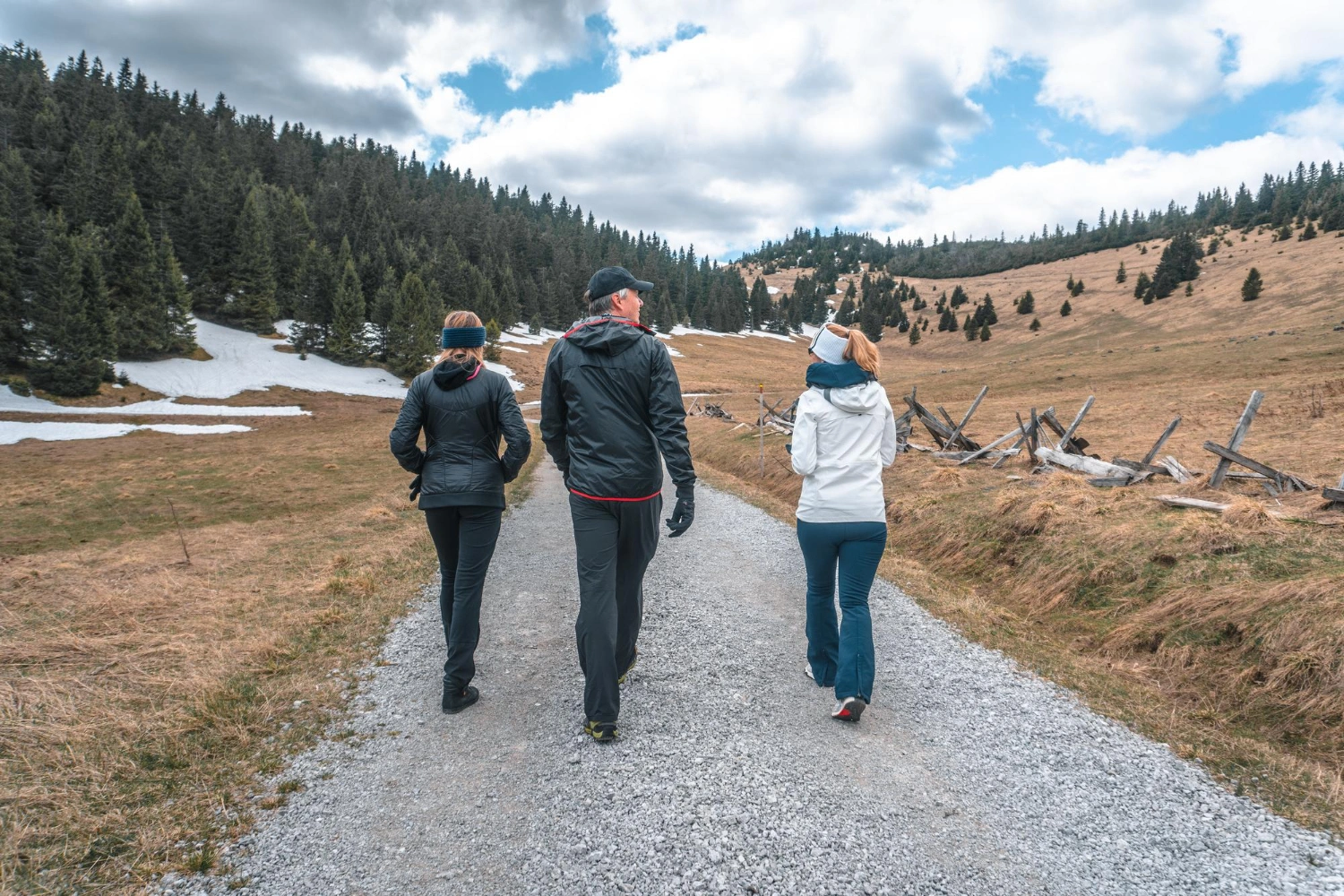 Alberta Invites 202 Skilled Workers in Five New Immigration Draws