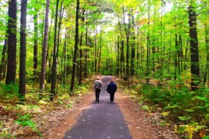 Canada Issues Invitations in New PNP-Focused Express Entry Draw