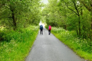 IRCC Holds New Express Entry Draw Targeting CEC Applicants