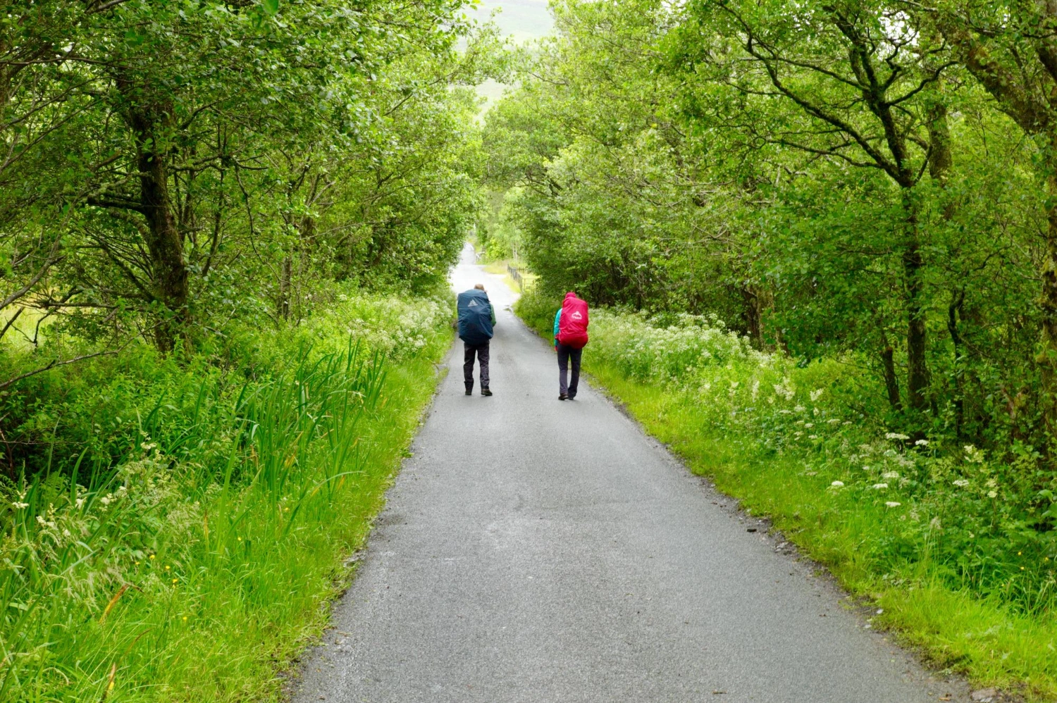 IRCC Holds New Express Entry Draw Targeting CEC Applicants