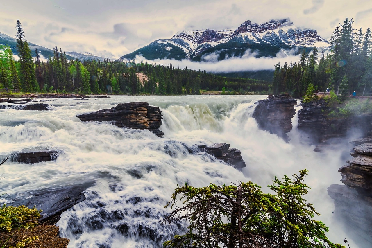 Over 1,100 Skilled Workers Advance Toward PR in Alberta Draws