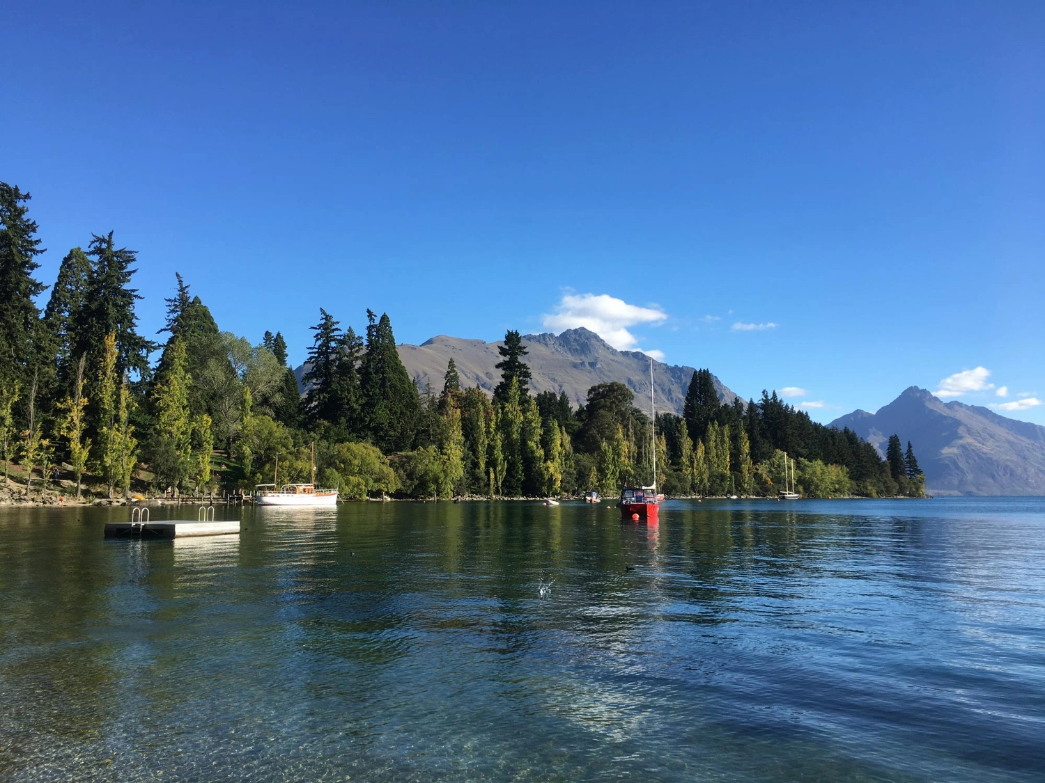 British Columbia Resumes Skills Immigration Draw After Extended Gap, Issues 410 Invitations