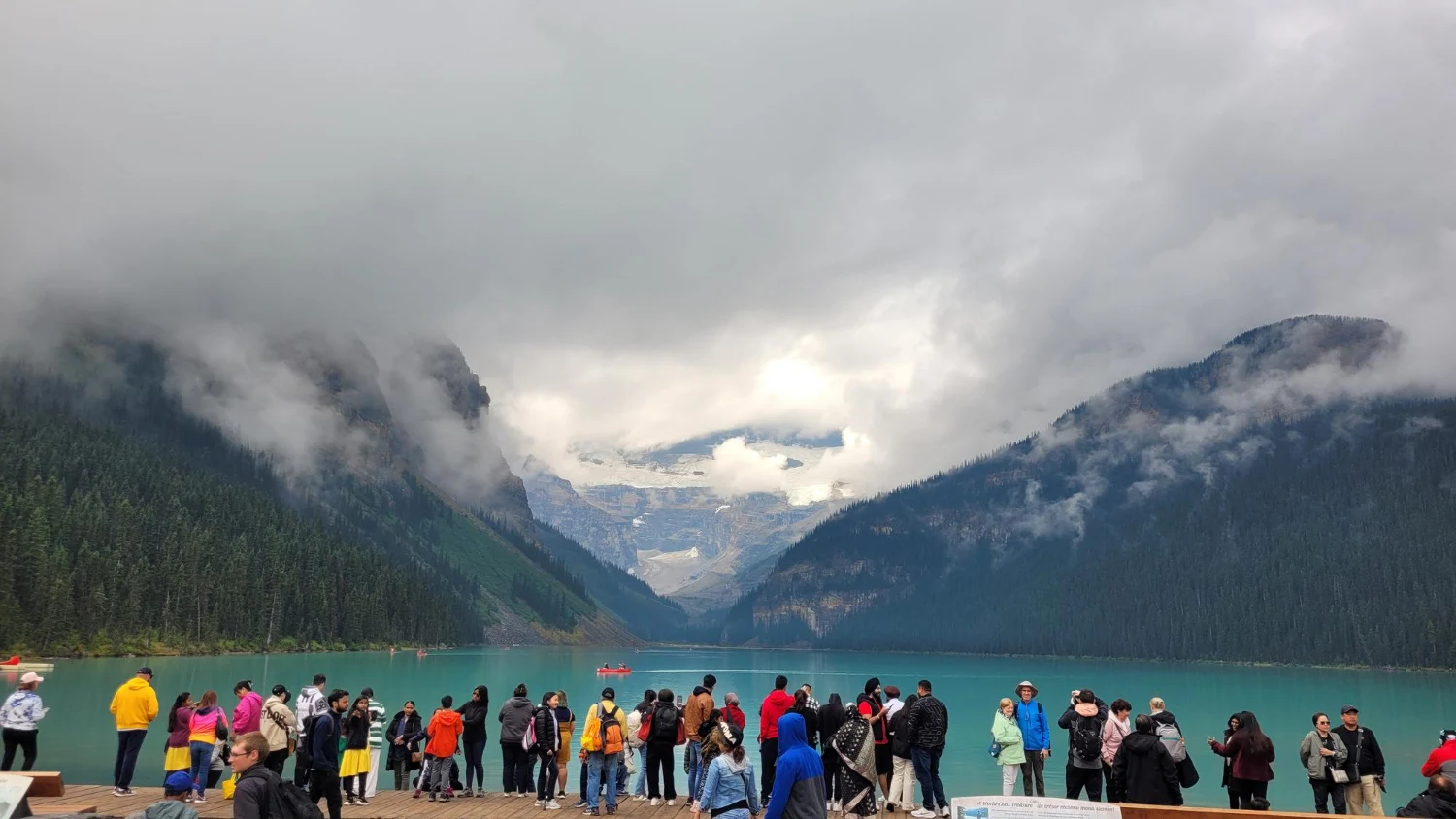 Alberta Advantage Immigration Program 2026 6,403 Nominations and Priority Sectors