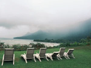 Second-Largest CEC Draw in History Held by Canada