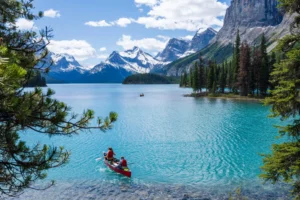 New TR to PR Pathway for Temporary Workers