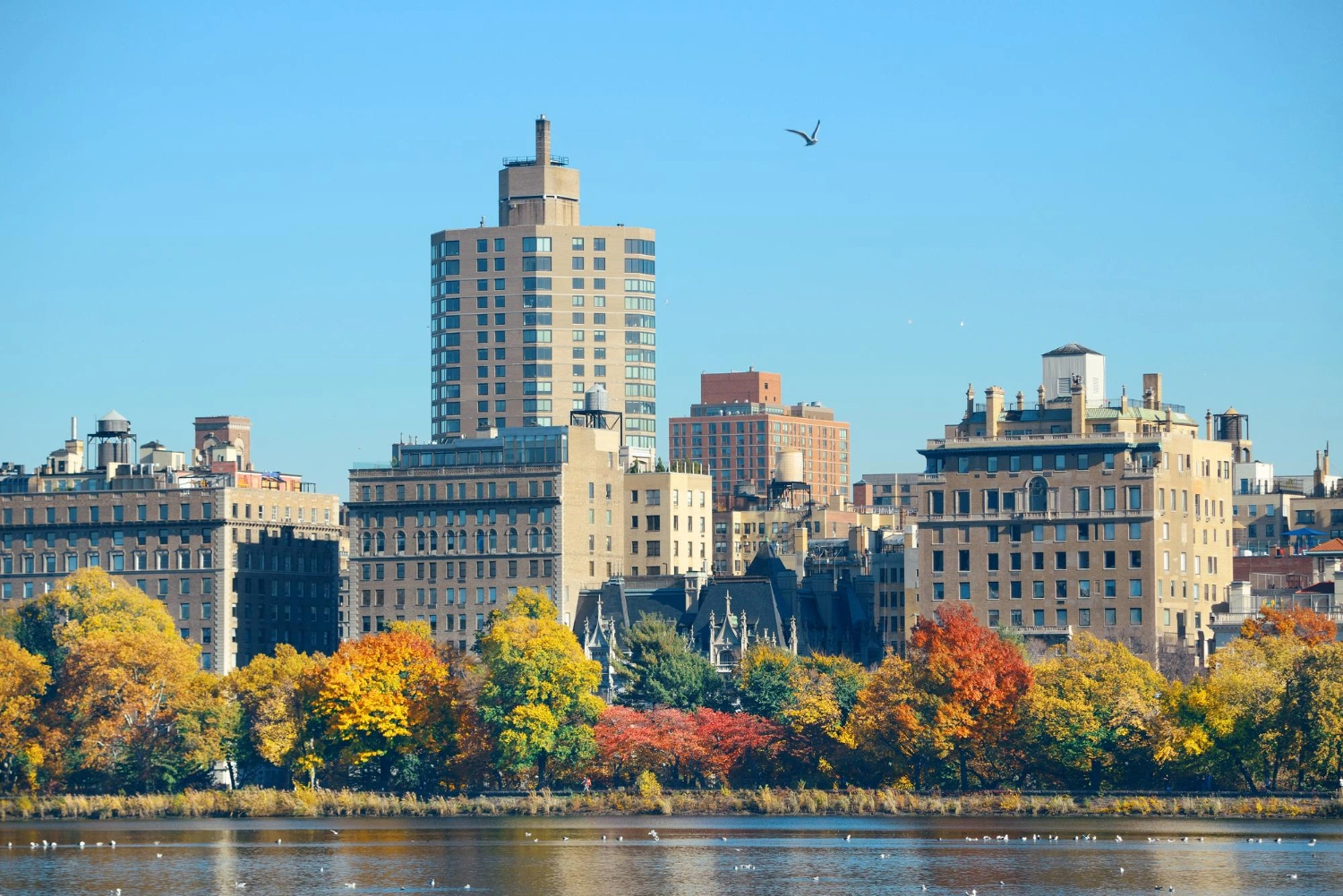 BC PNP entrepreneur draw April 2026 invites new business candidates