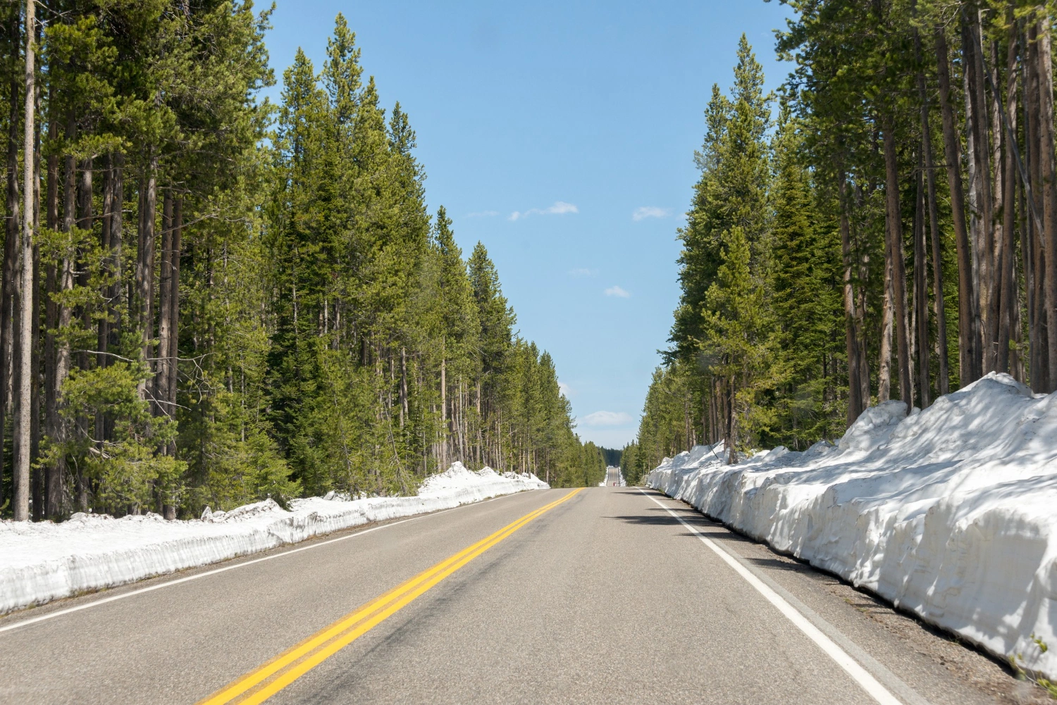 Final Express Entry Draw of March Invites Thousands of CEC Candidates