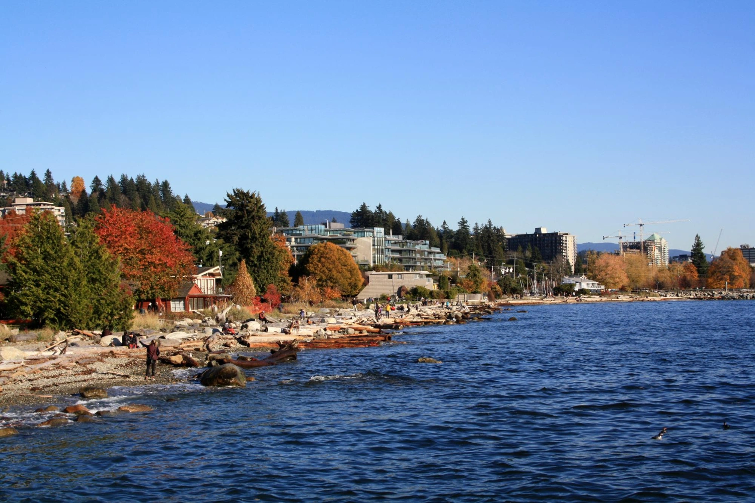 New Brunswick Conducts Multiple Immigration Draws