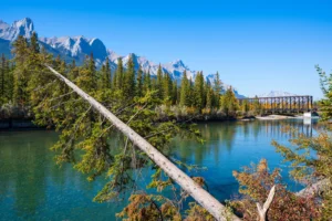 British Columbia Issues 602 Invitations