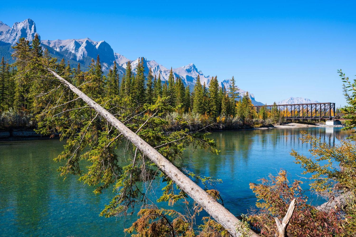 British Columbia Issues 602 Invitations