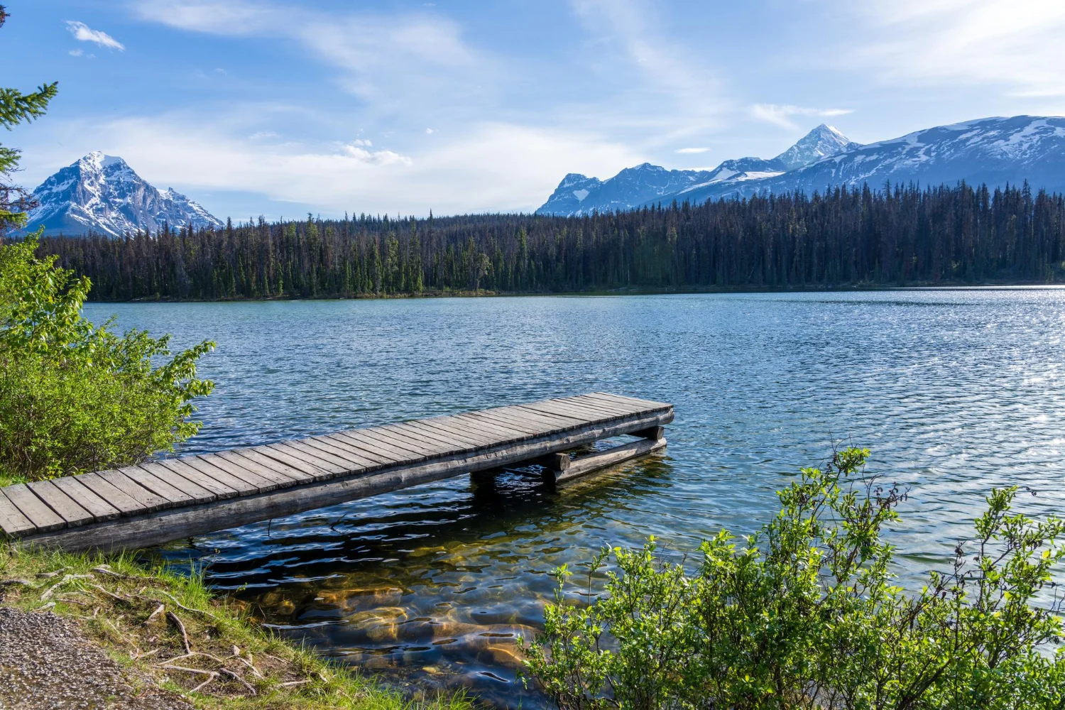British Columbia Issues 714