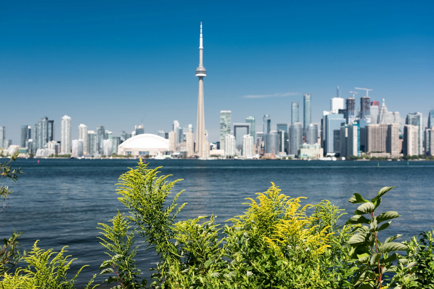 Canada Invites 576 Provincial Nominees
